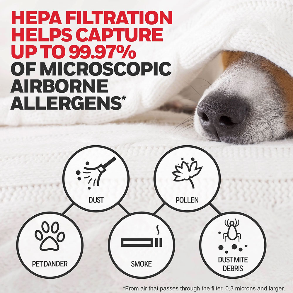 Honeywell Replacement Filter G True HEPA Air Purifier Filters - 2 Pack, HRF-G2 - Image 6